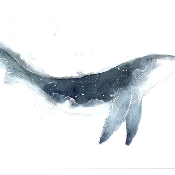 Meet your Posher, Micole - Picture 1 of 1